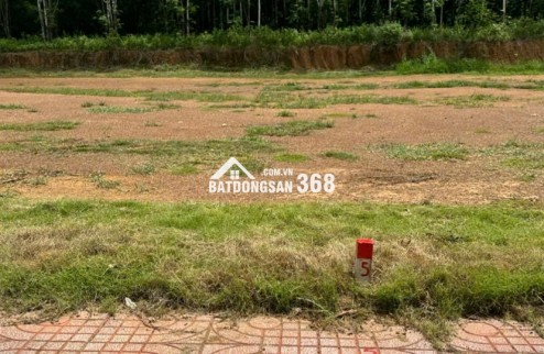 Vốn ban đầu 80 triệu có ngay đất đầu tư tại Đồng Phú - Bình Phước